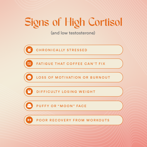 Cortisol, Who?