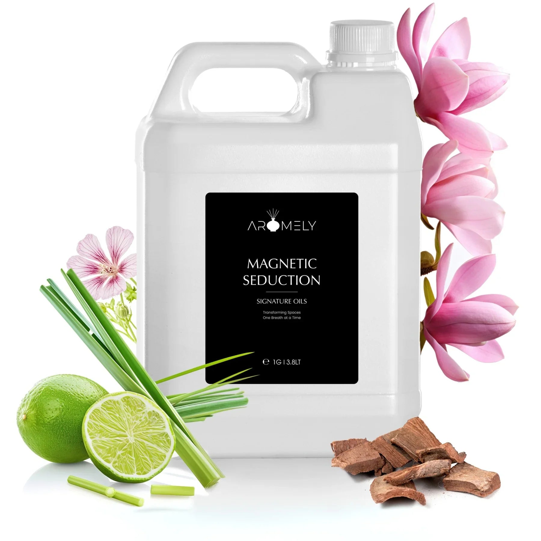 Magnetic Seduction - Inspired by W Hotels®