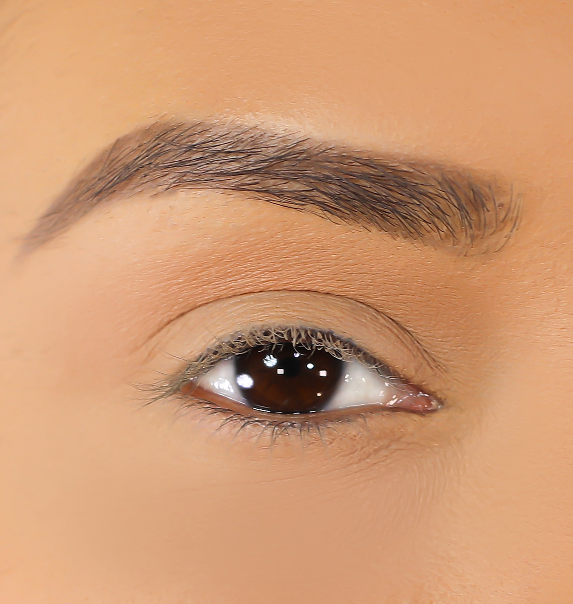 LURELL 3D Mink Eyelashes - Emma
