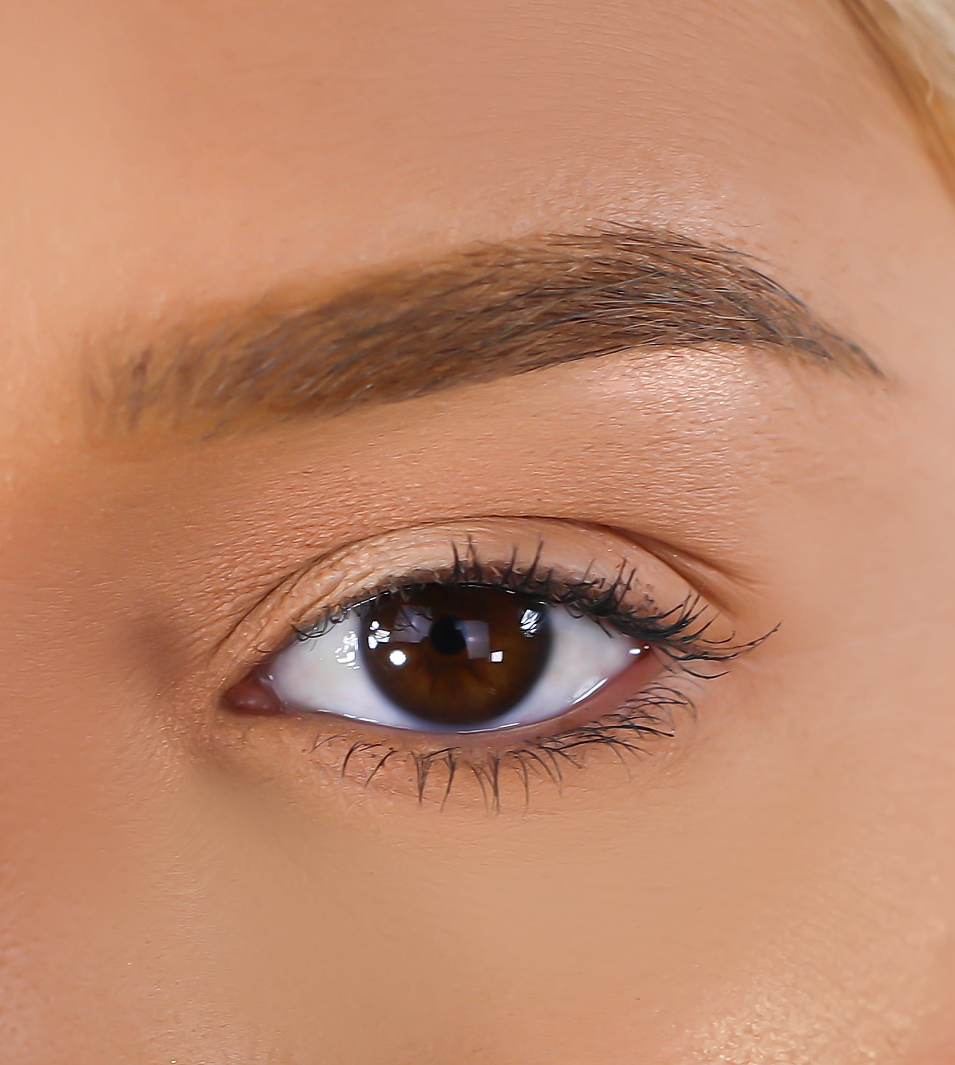 3D Mink Eyelashes - Cardi
