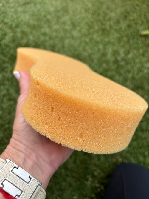 Combo Pure Morocco Argan Oil Shampoo 32oz plus Essential Oil Coat Conditioner Peach and Honey 16oz with Sponge applicator