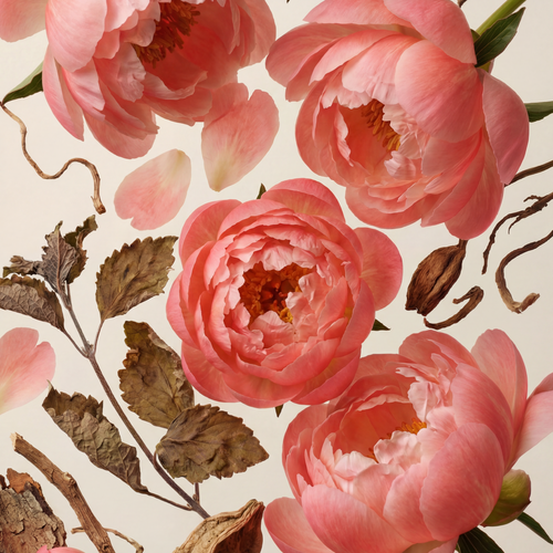 Peony & Patchouli Eau de Parfum – elvis+elvin