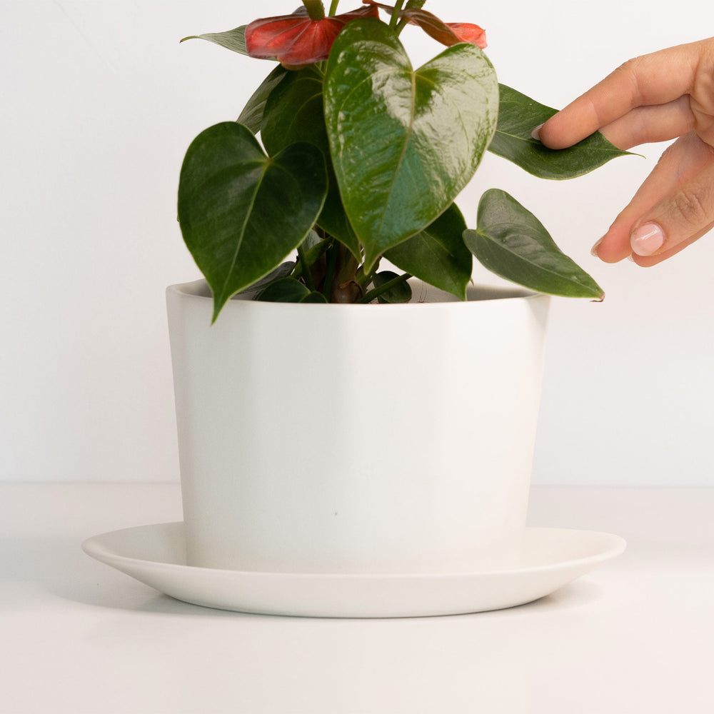 Ember Collective Geometric Oval Handmade Porcelain Planter