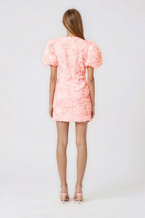 Rosella 3D Mini Dress – Pink